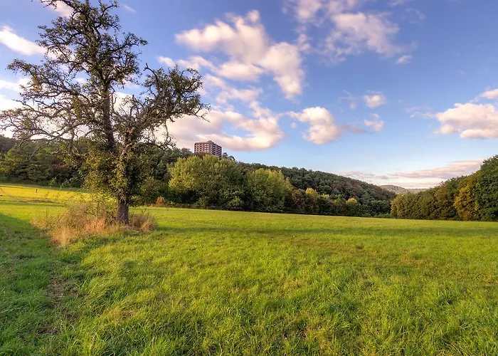 Appartement A109 By Interhome Lahnstein